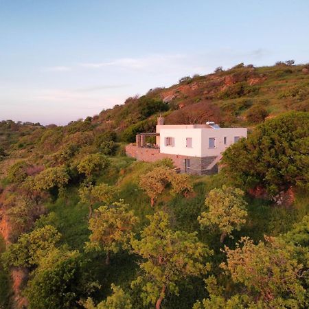 Cycladic Villa With Sea View! Ioulis エクステリア 写真