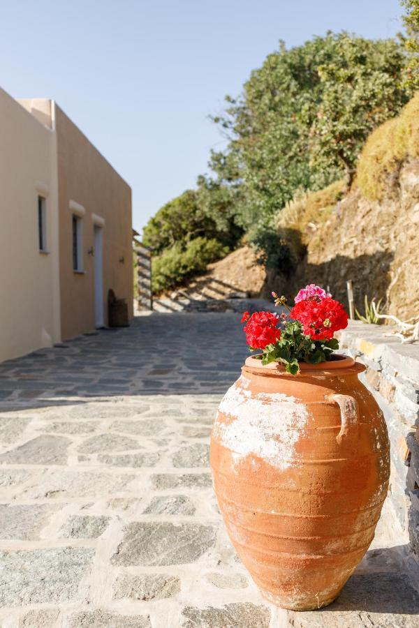 Cycladic Villa With Sea View! Ioulis エクステリア 写真