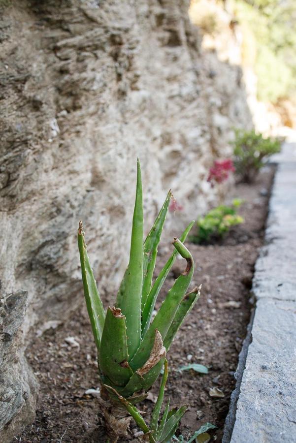 Cycladic Villa With Sea View! Ioulis エクステリア 写真